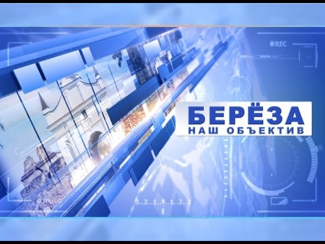 Берёза. Наш объектив 21-10-18