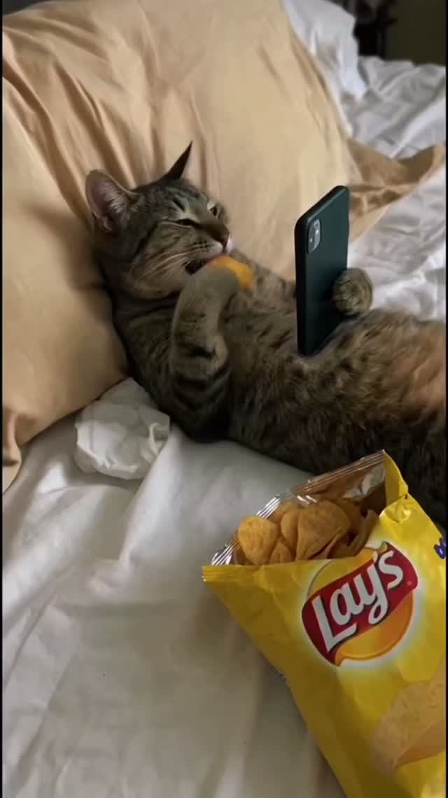 Это ты,смотришь мои видео ❤️😍
