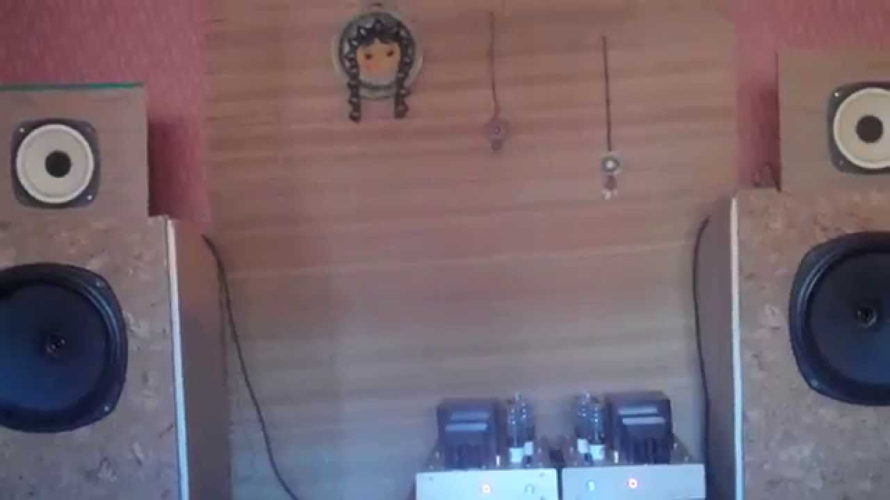 Fostex FE204 с ламповым РР 