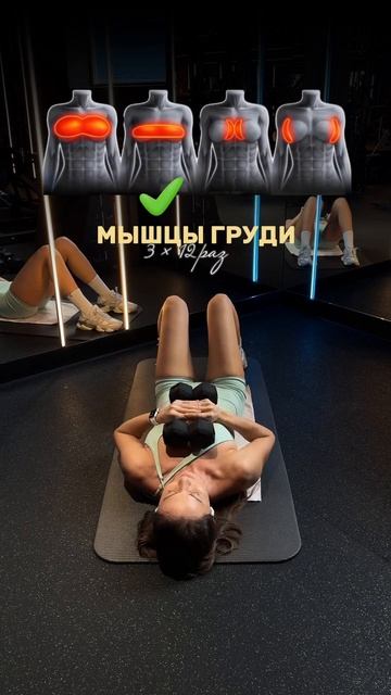 🔥 Эта связка нагружает грудные мышцы под разными углами. 3×12 каждое упражнение: