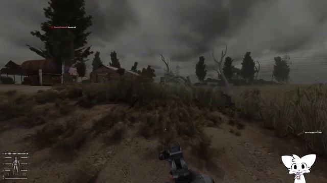 S.T.A.L.K.E.R. Gamma #4 | С макаровым на алтын