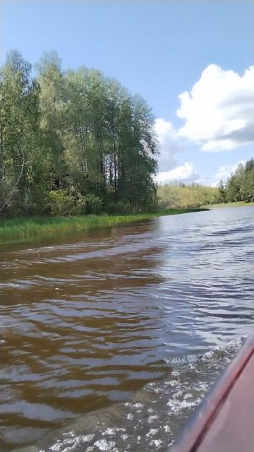 Ладожское озеро, Карелия #природа #путешествия #карелия