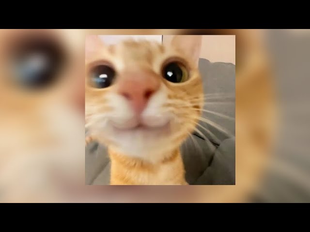 Весёлая Музыка Без Слов НА Задний Фон, Именно Для Тебя!
