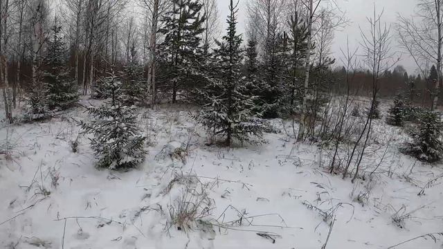 Мой первый Time Warp GoPro 7 Black