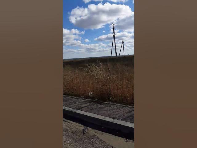 Pride Solo 8 на разминке