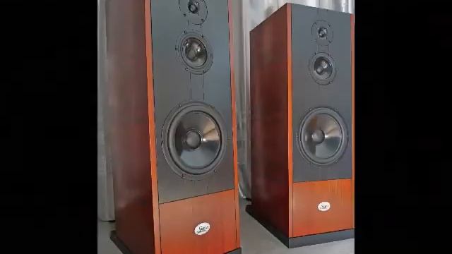 SAGA Speakers 232. Стереозапись этих АС с 1 метра.