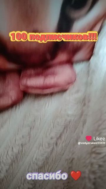 спасибо за сто подписчиков в My Likee♥️