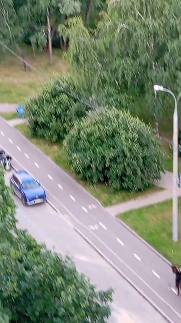 Конная полиция возвращается с дневного дозора/вечер 28.06.26