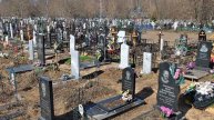 Топ 5 сиреноголовый снятых на камеру.
