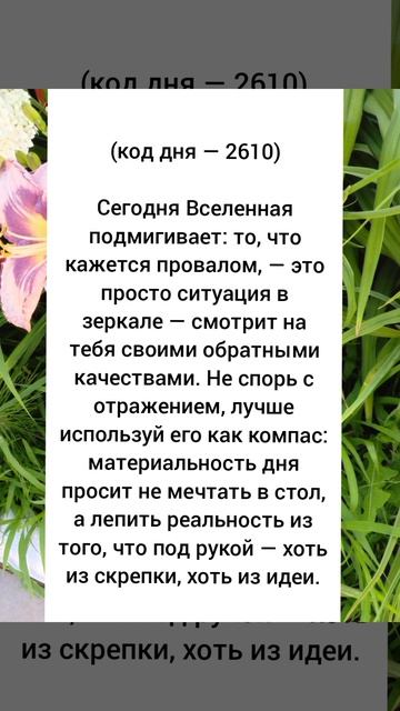 Квантовый прогноз на сегодня.