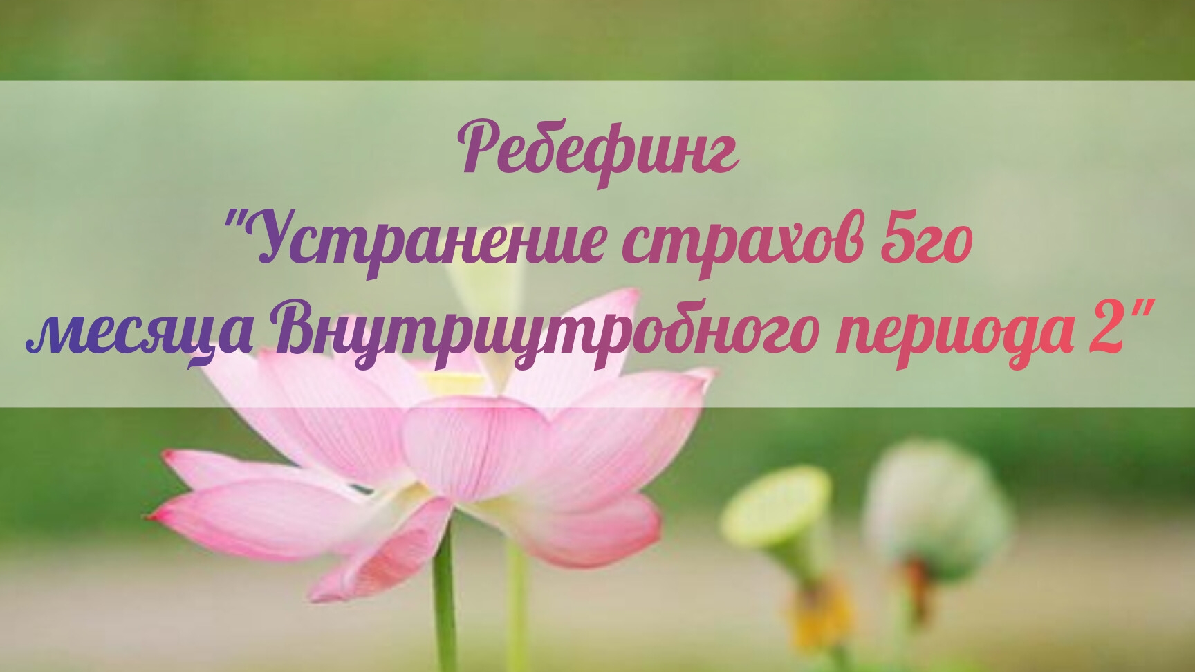 29 ребефинг, крийя 