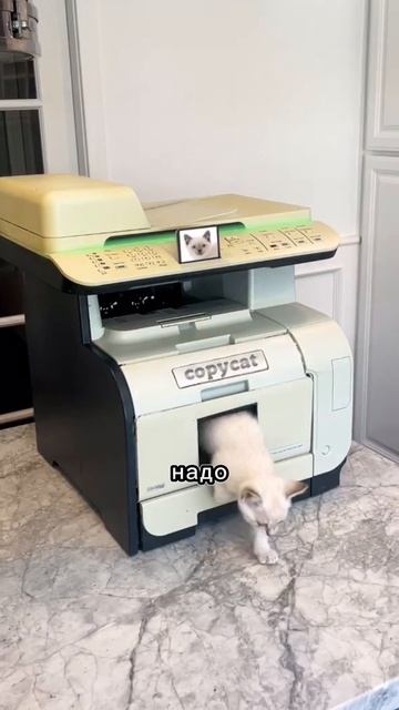 атака клонов 👾👾👾