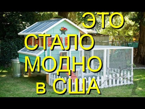 Мода на цыплят в США/Необычные домашние питомцы/Магазин для фермеров в США