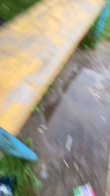 Рататуйчик