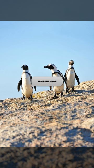 Отучить мужа от разгульной жизни