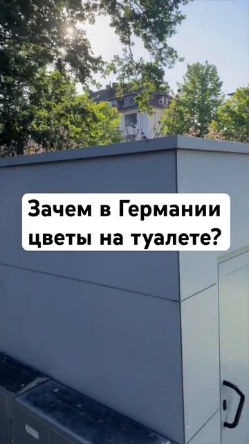 🌺 ЦВЕТЫ на ТУАЛЕТЕ? Зачем в Германии озеленяют крыши!