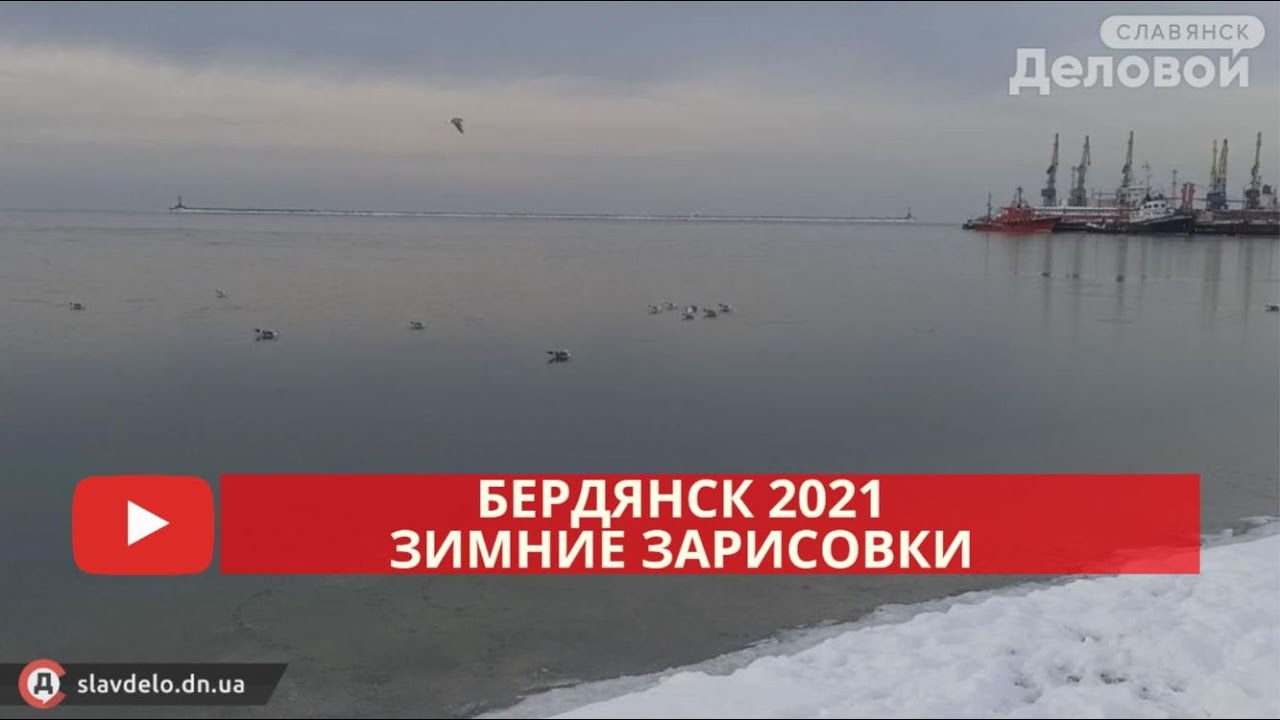 Видеозарисовки из зимнего Бердянска