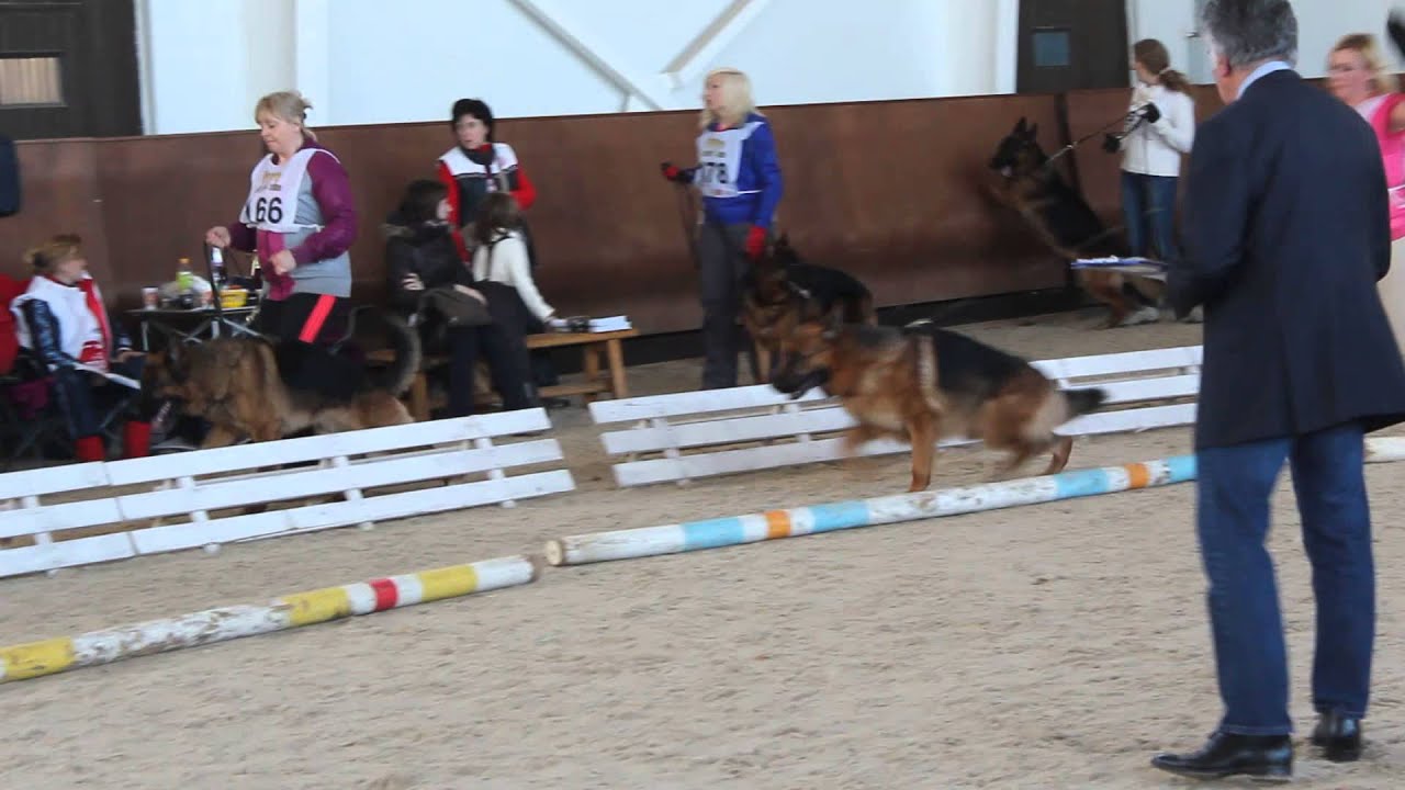 раб кл кобели Гран При 2015  171 Цофф ф Айхенплац
