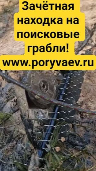 Зачётная находка на поисковые грабли! Www.poryvaev.ru