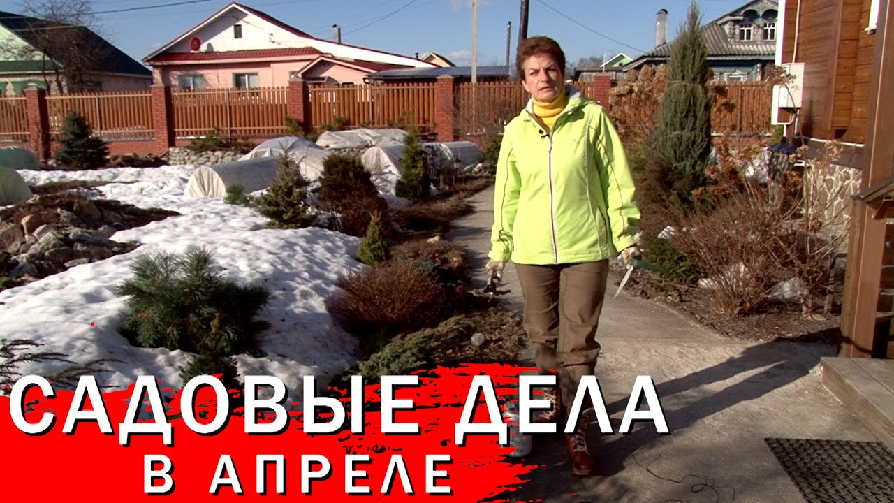 Садовые дела в апреле