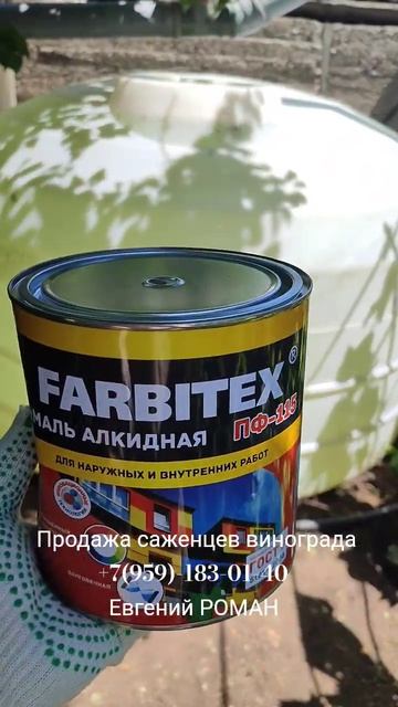 Саженцы винограда  +7(959)-183-01-40 Евгений РОМАН