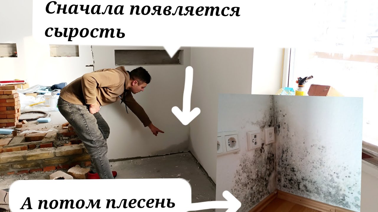 Плесень на стенах. Как избавиться от плесени. Чем убрать плесень. Мокрые окна. В углах грибок.Ч1