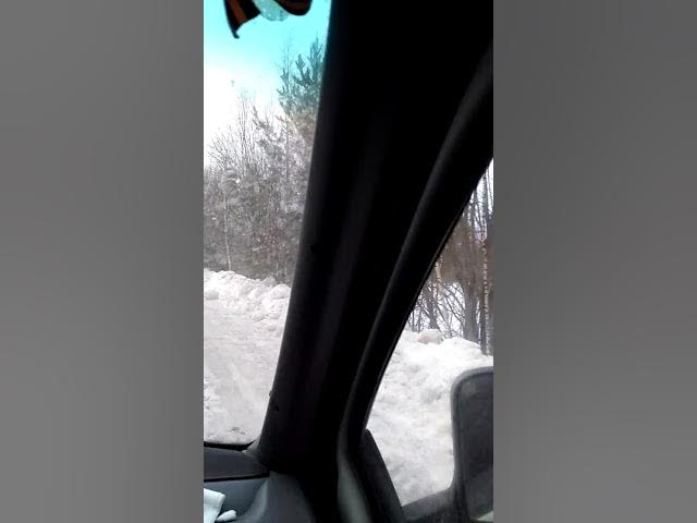 Кострома 260км ада