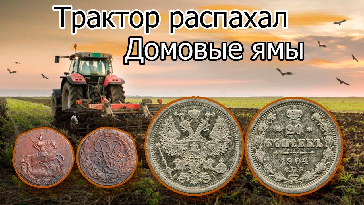 Трактор распахал ДОМОВЫЕ ямы. Находка за находкой, не КОП, а сказка. #коп #шурф