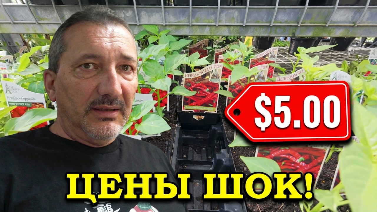 АВСТРАЛИЯ ПО ЦЕНАМ В МАГАЗИНЕ ХОЗ ТОВАРОВ