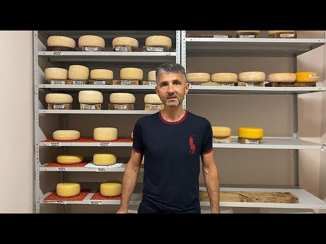 Камера для созревания сыра