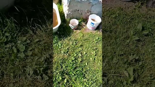 обзор на двор в деревне
