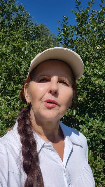 Кто ПРАВИЛЬНО определит код ТН ВЭД? Классификация товаров по ТН ВЭД, таможенный код