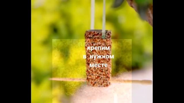 Мастер-класс «Лакомство для птиц из втулки»