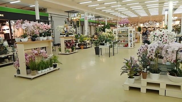 Москва город Красногорск обзор в ТЦ ТВОЙ ДОМ в ТЦ VEGAS.Июнь 2024.