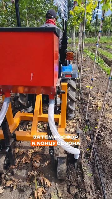 Внесение сухи удобрений в Туле на молодые посадки
