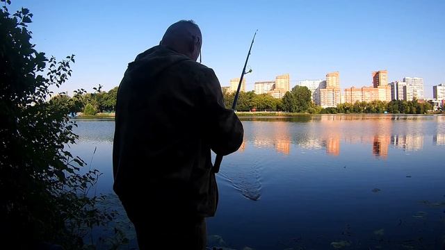 Пруд. Рыбаков нету. Поклевок нету. Рыба ???