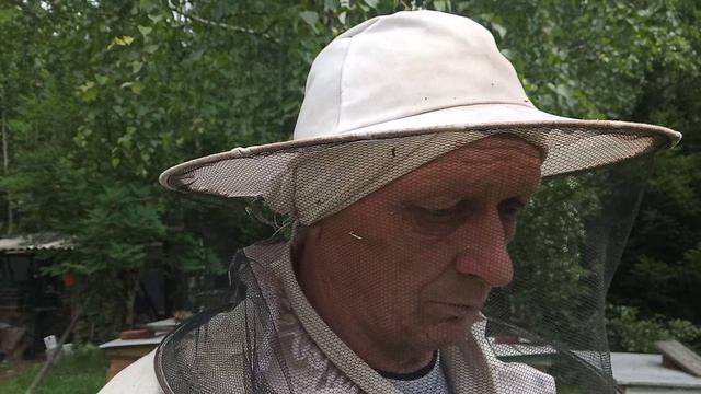 В ненастную погоду с пчёлками работать ......можно получить по полной .