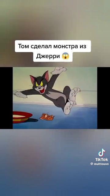 1000010522.mp4