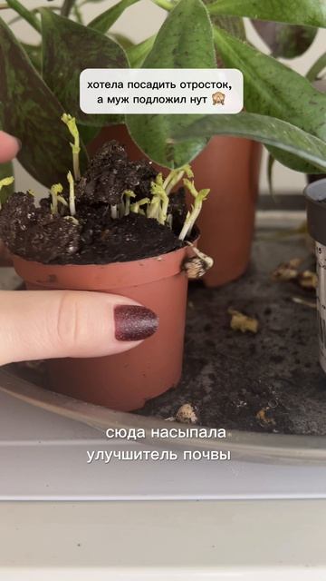 Ваня агрономов
