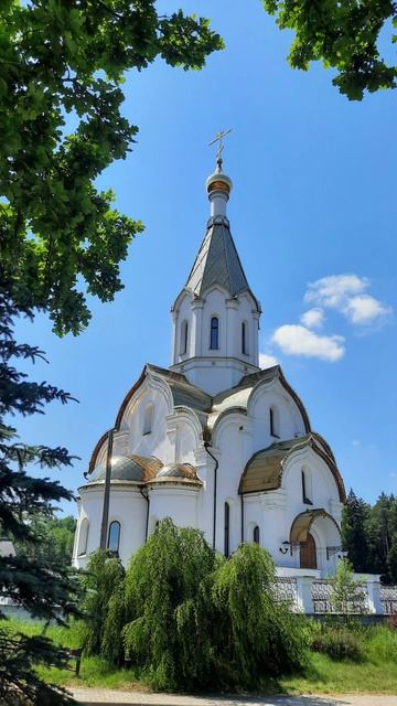 Душевный лекарь#Церковь#shortvideo#shorts#Молитва#Православие