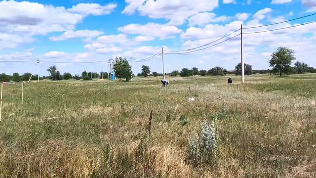 Разметка дорог в кластере 7 МАКОВ г. Семикаракорск