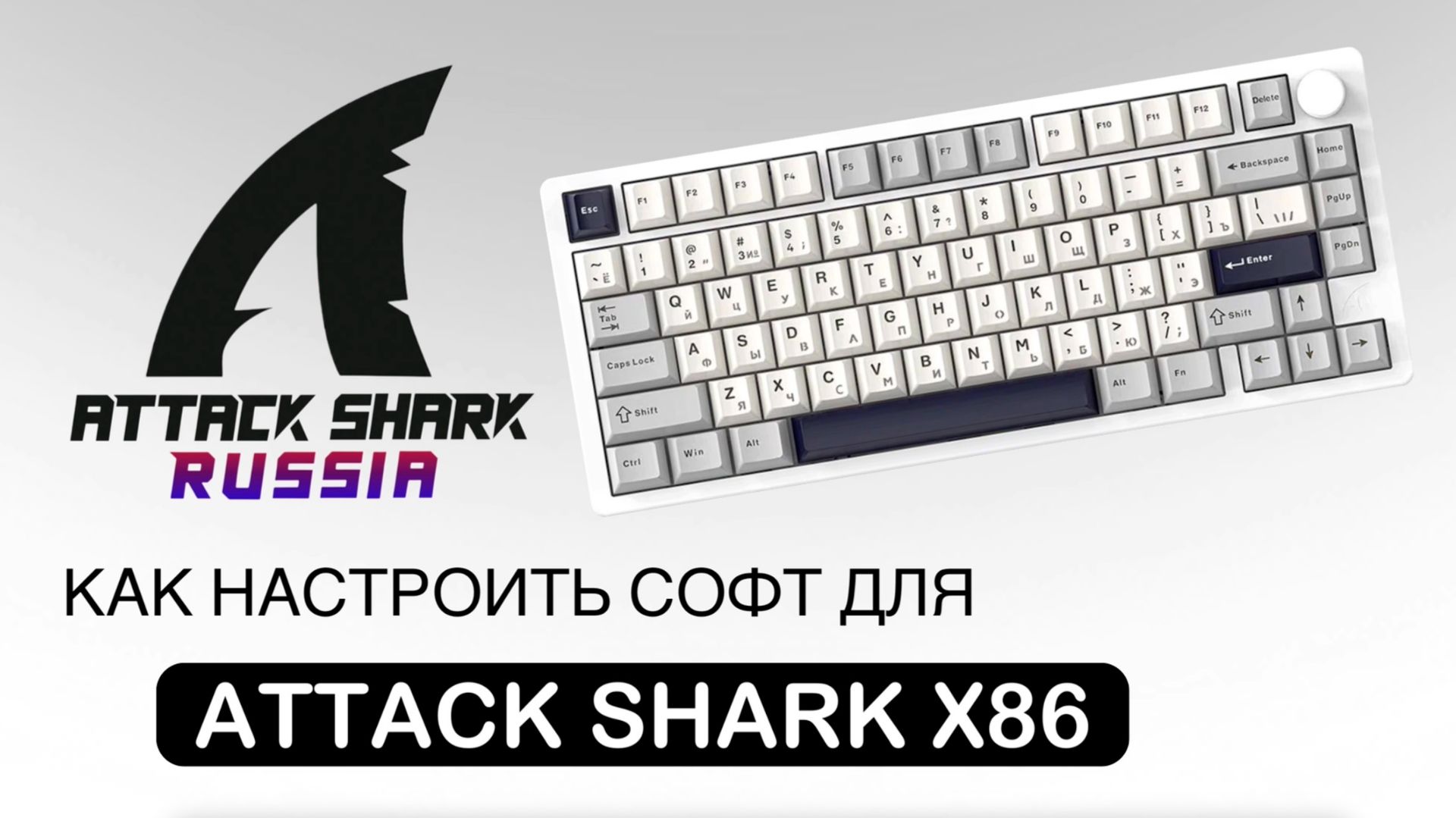 ATTACK SHARK X86 — КАК НАСТРОИТЬ СОФТ | SOFTWARE GUIDE