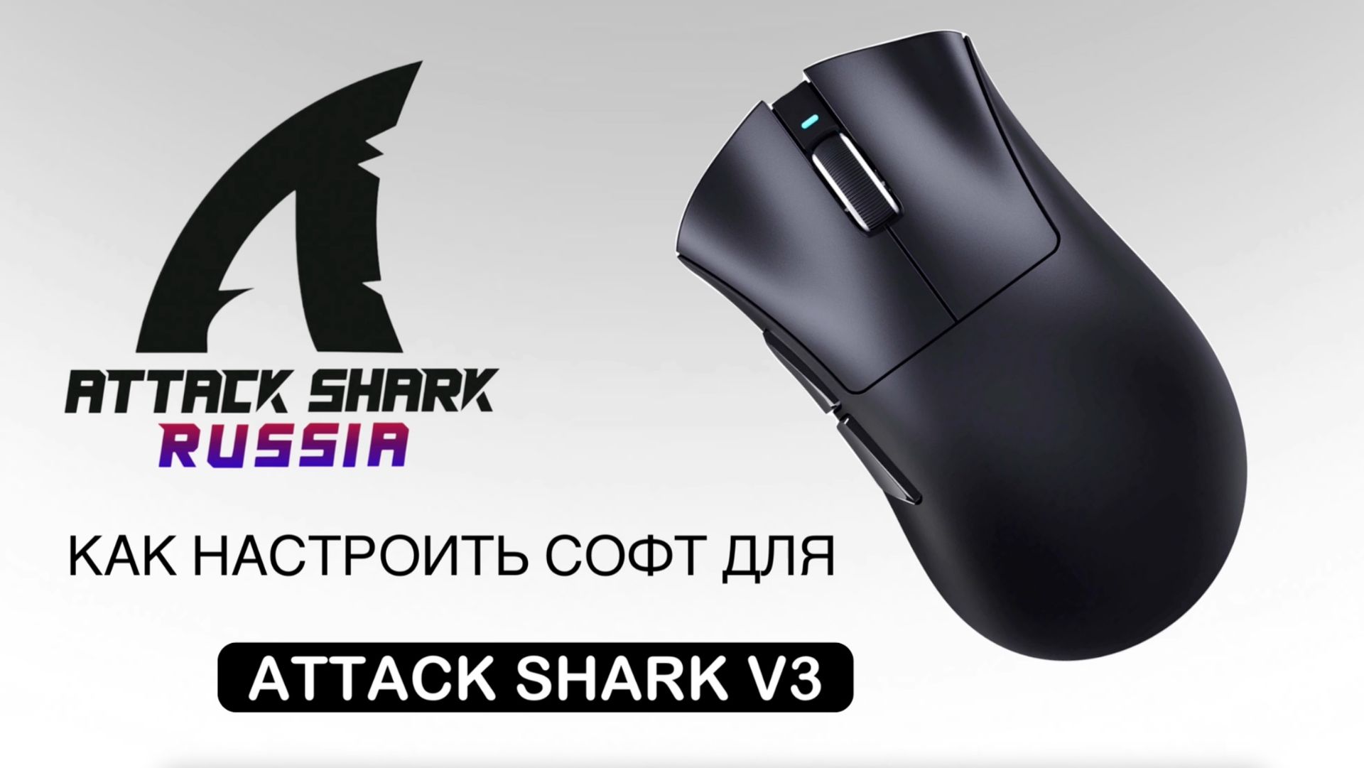 ATTACK SHARK V3 — КАК НАСТРОИТЬ СОФТ | SOFTWARE GUIDE