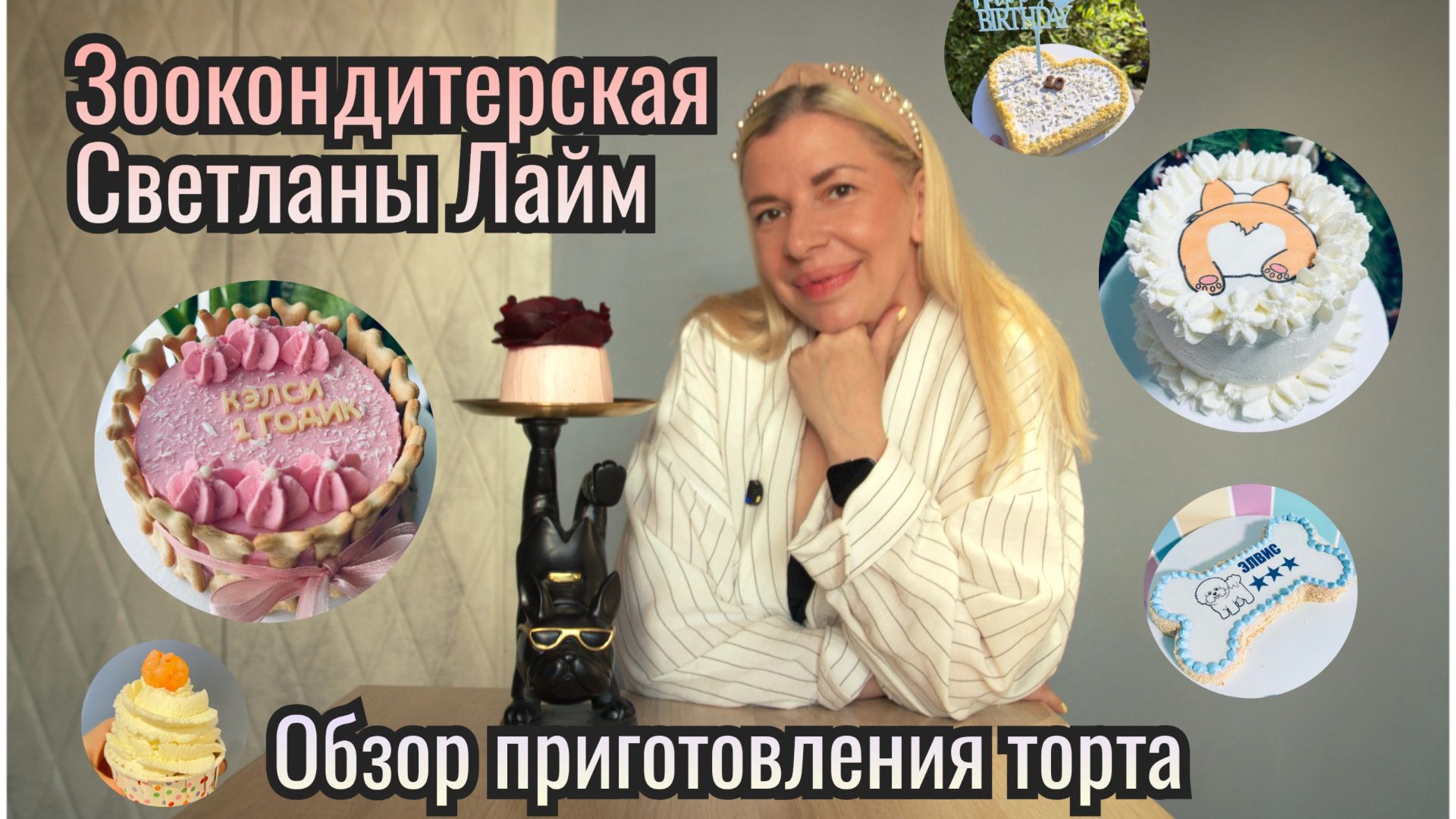🍰Торты для собак и кошек. Зоокондитер о любимой кошке Шарлотте и первом хейте в адрес профессии.