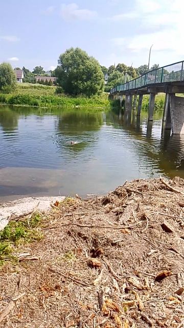 Другая сторона Лопасни, убрали брëвна, от моста 03.07.2026.