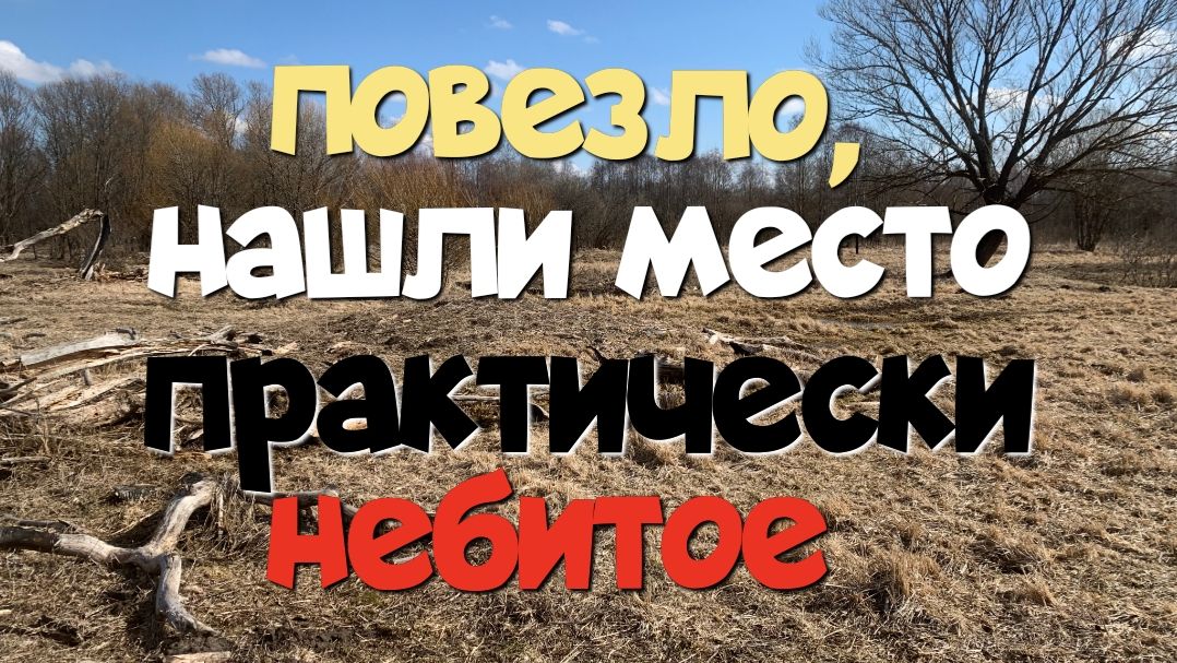 Повезло, нашли место практически небитое. Поиск с ЭКВИНОКС 800.