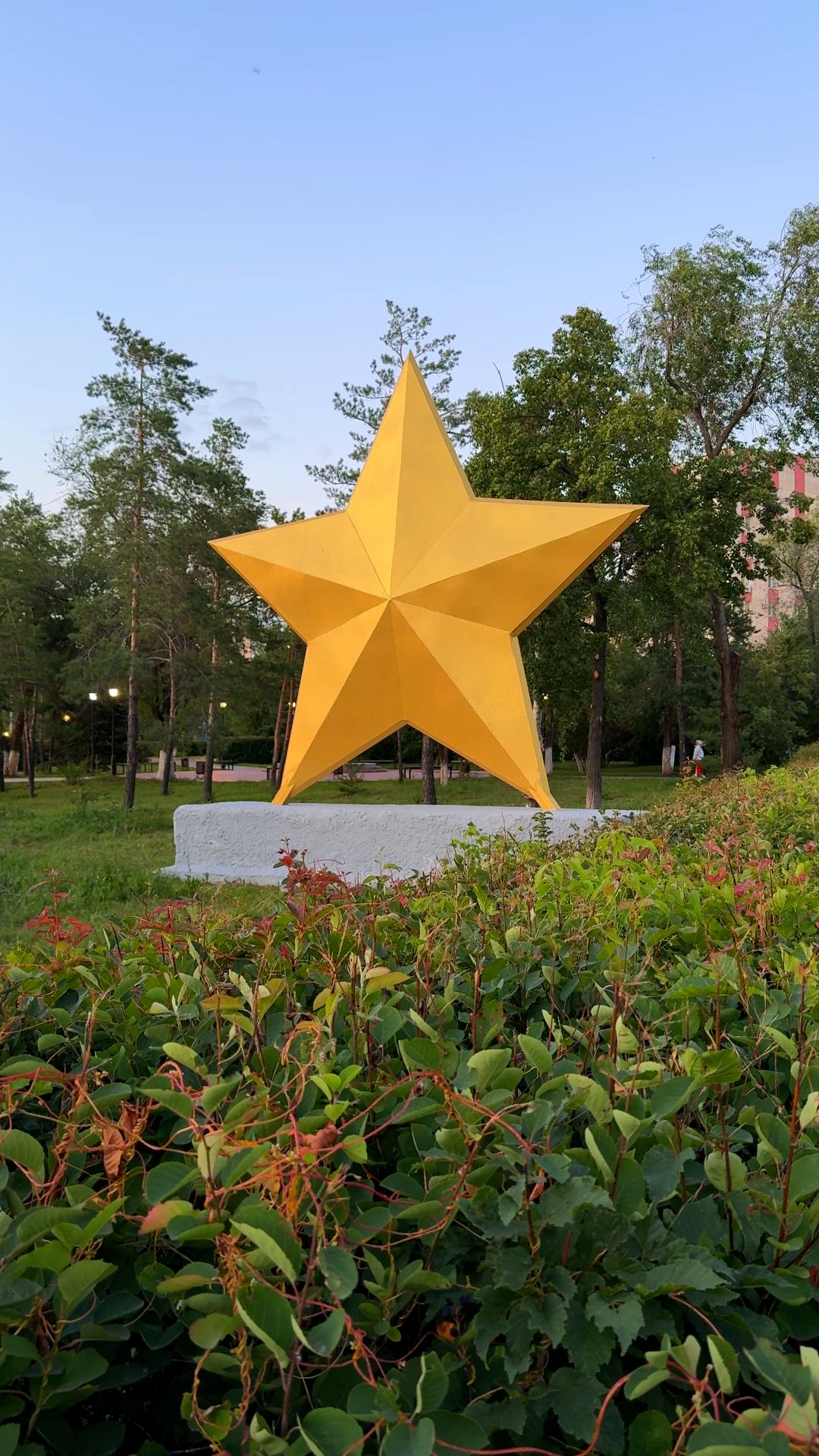 Звезда в парке имени Л.А. Гуськова / #оренбург #парк #звезда
