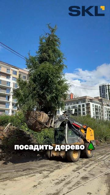 Сегодня мини-погрузчик LiuGong 385B помогает посадить ёлочку 🌲