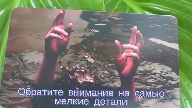КАРТА ДНЯ ОТ МАК.