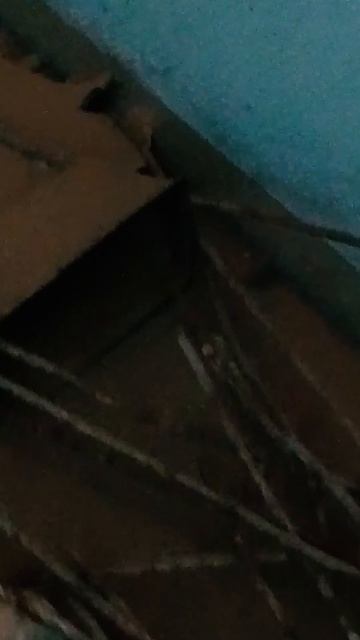 В чём пекли хлеб на заброшенном хлебозаводе